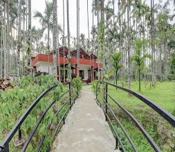 Lazo Areca Resort, Coorg