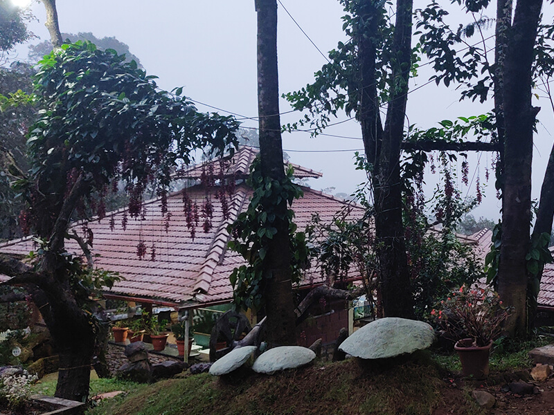 Saalugudda Resort