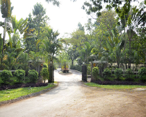 Silent Hills Resort