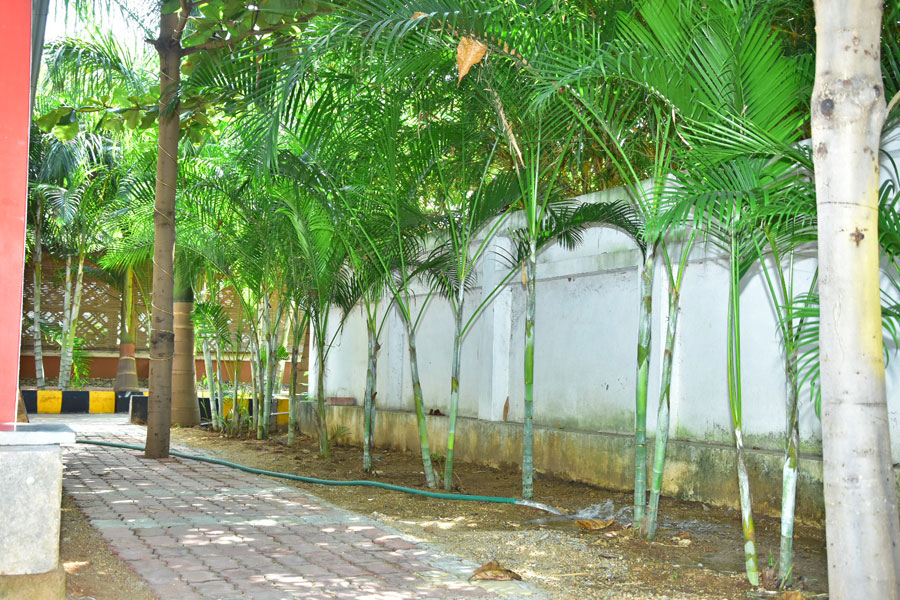 Megha