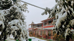 Binsar Oak Paradise