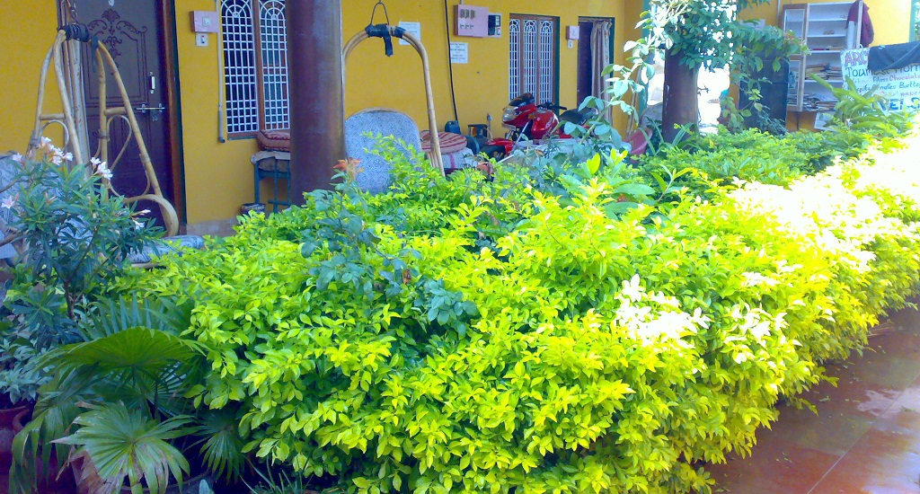 Archana