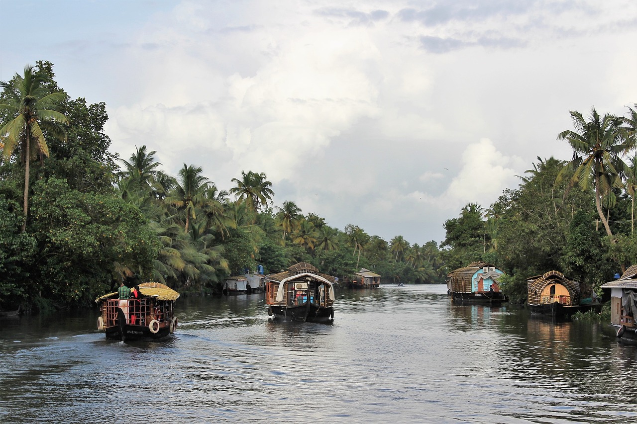 Floating Markets of Kerala: Navigating the Backwaters by Canoe