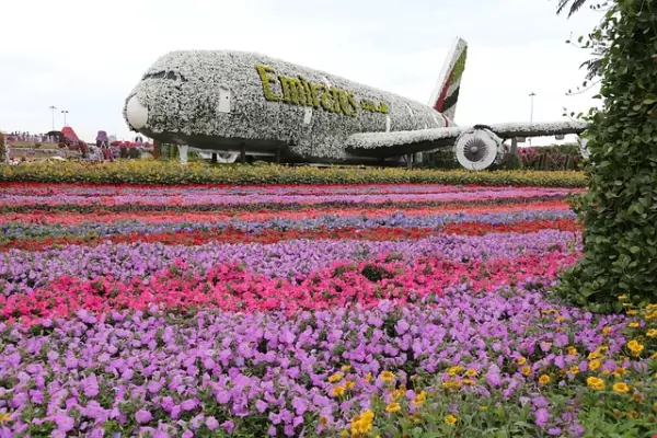 Dubai Miracle Garden: A Floral Wonderland