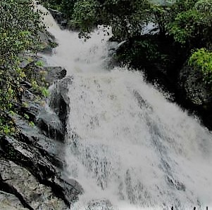 Monkey Falls