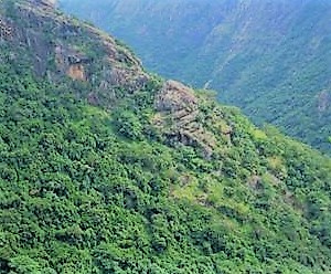 Kolli Hills in Erode