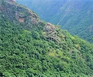 Kolli Hills