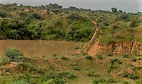Pali