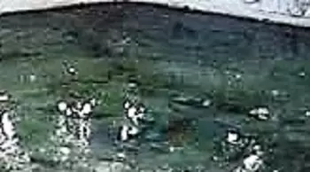 Deulajhari Hot Spring