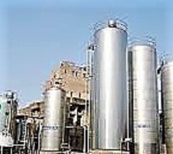 Amul Industry in Anand