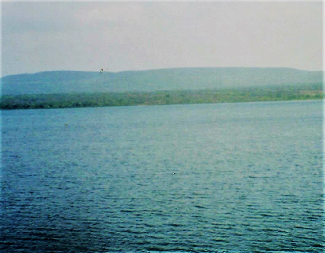 Govindgarh Lake in Rewa