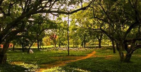 CUBBON PARK  in Banglore