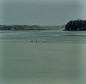 Cauvery