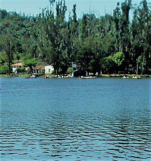 Kodai Lake