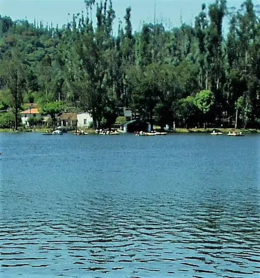Kodai Lake