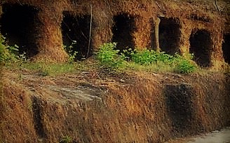 The Caves