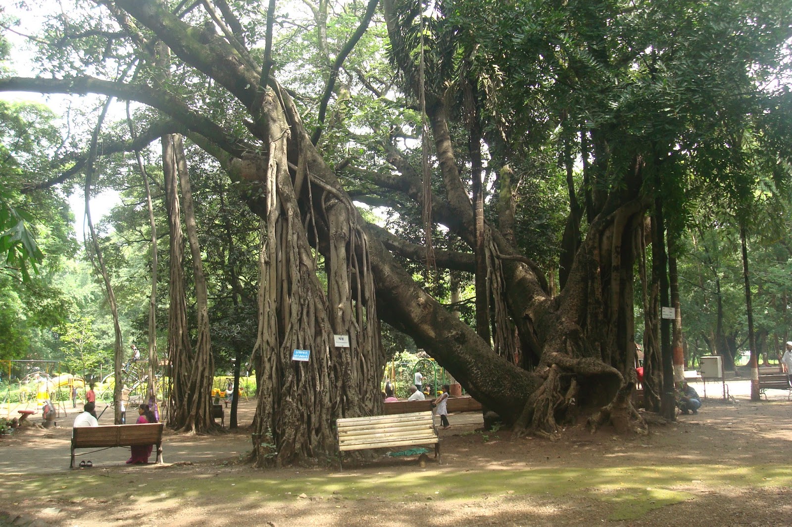 EMPRESS GARDEN