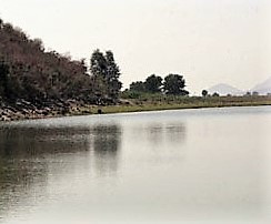 Padam Talao