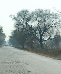 Lohari Ragho