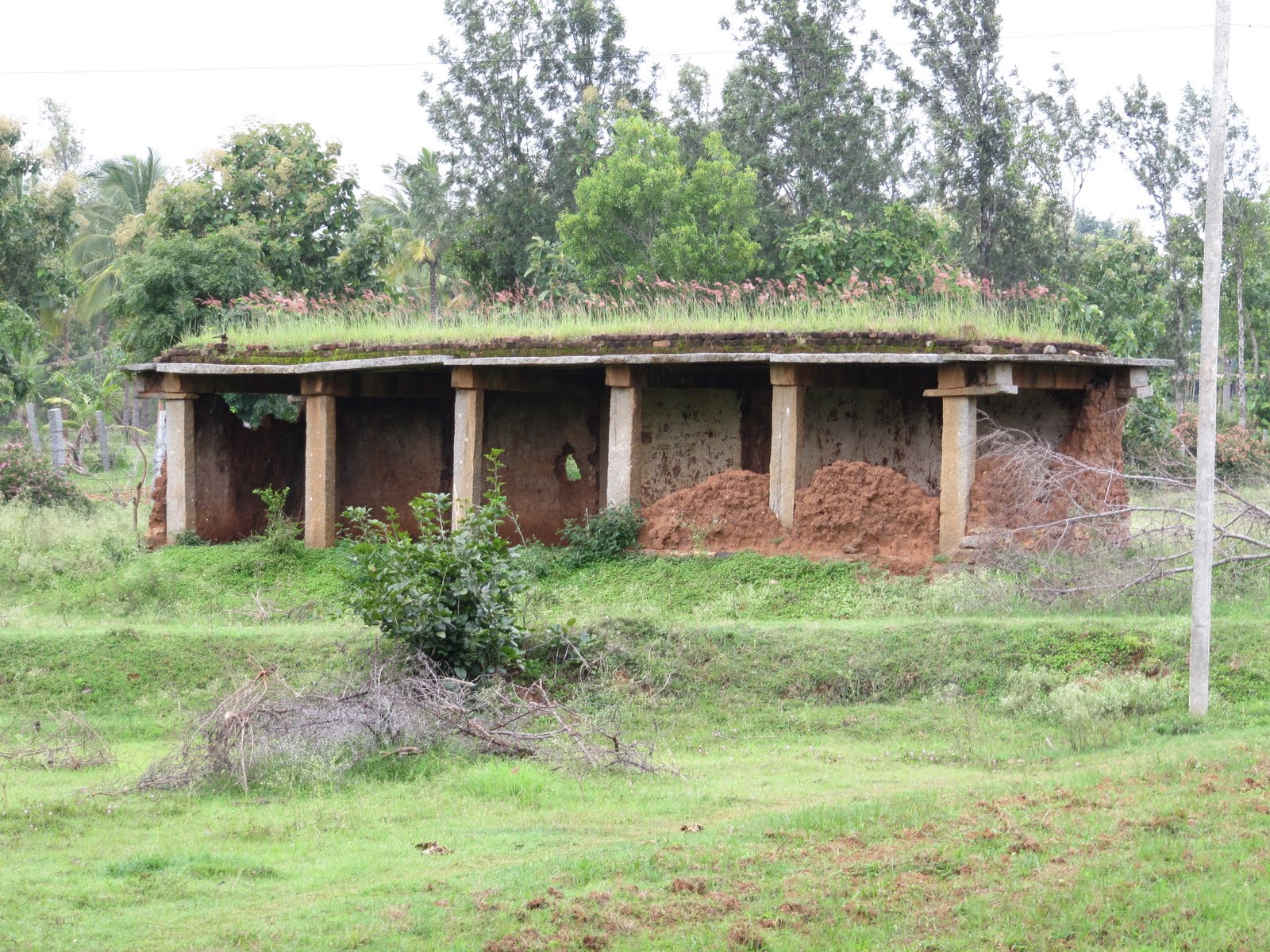 Hessarghatta  in Banglore