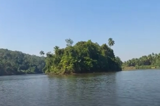 Karli Backwaters