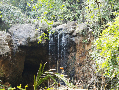 Kesarval Spring