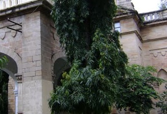 The Lang Library in Rajkot