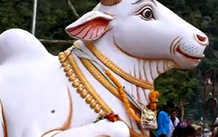 Minna Jhola