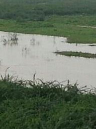 Badkhal Lake in Faridabad