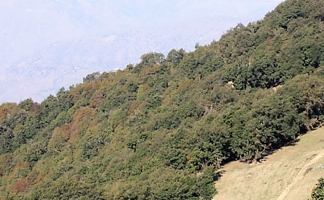 Nag Tibba