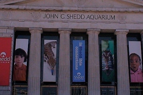 Shedd Aquarium in Chicago