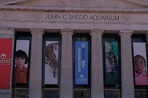 Shedd Aquarium