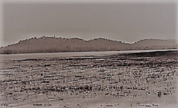 Navegaon Lake in Gondia