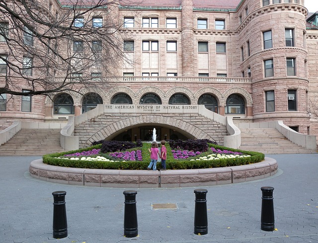 American Museum of Natural History in New York