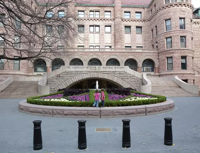 American Museum of Natural History
