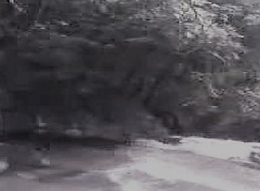 Maredumalli in East Godavari