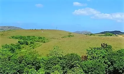 Kayoor Nadukani