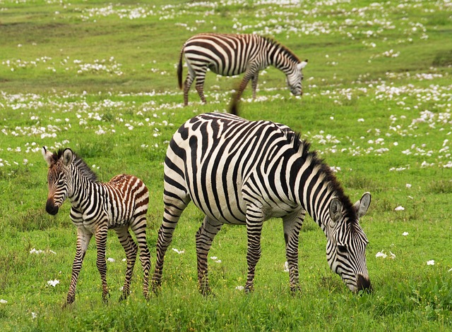 Gaborone Game Reserve