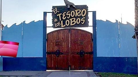 Show de los Lobos in Iquique