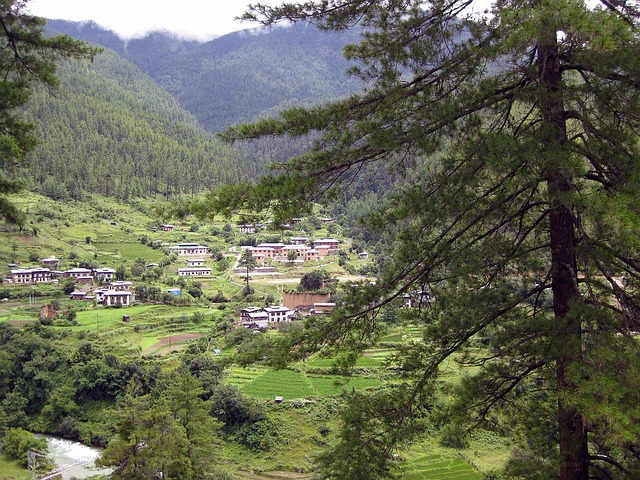 Tingvong & Keushong