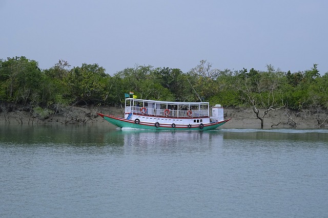 Sunderbans