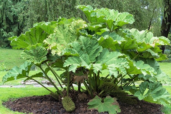 Botanischer Garten