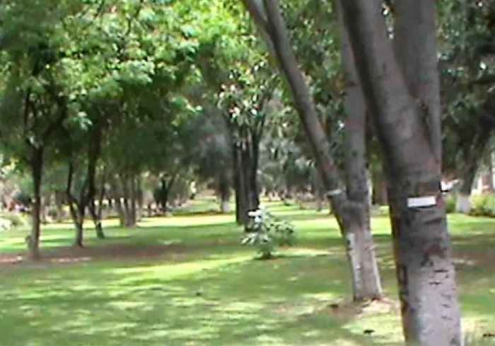 Museo Casona Santivanez