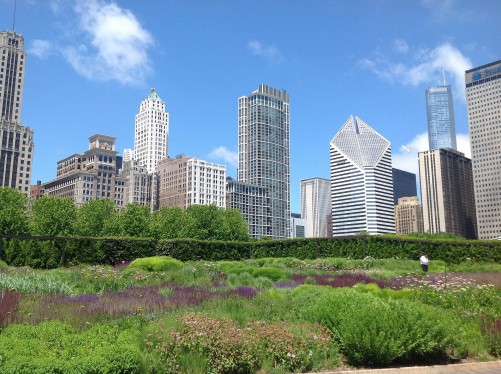 Lurie Garden in Chicago