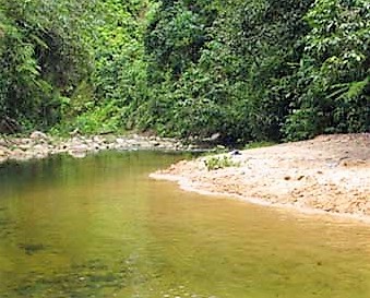 Carrasco National Park in Cochabamba