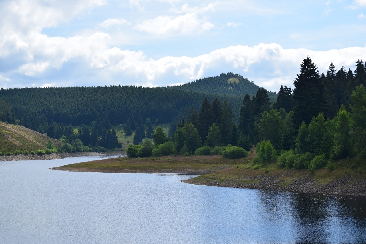 PIMALGAON JOGA DAM