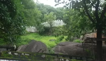 Gonda Hill and Rock Garden