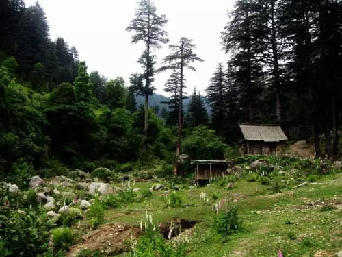 Bhaderwah 