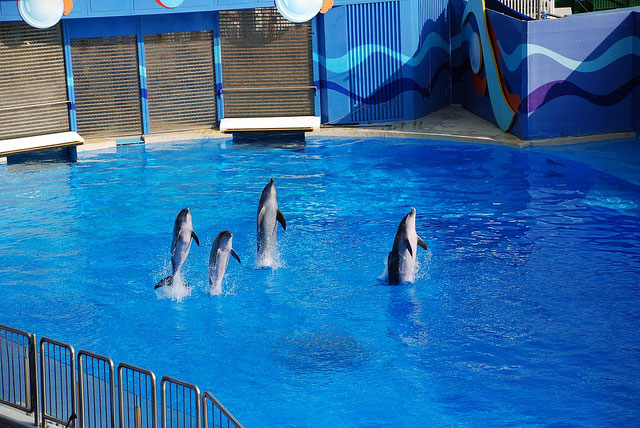 Ocean Park