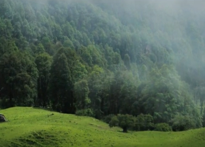 Dayara Bugyal